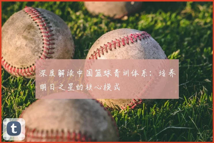 深度解读中国篮球青训体系：培养明日之星的核心模式