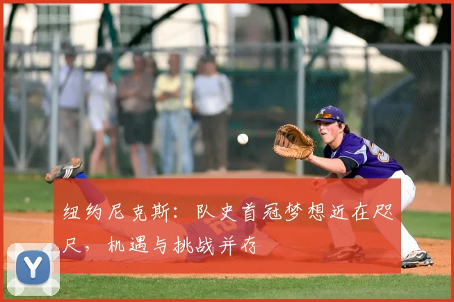 纽约尼克斯:队史首冠梦想近在咫尺,机遇与挑战并存